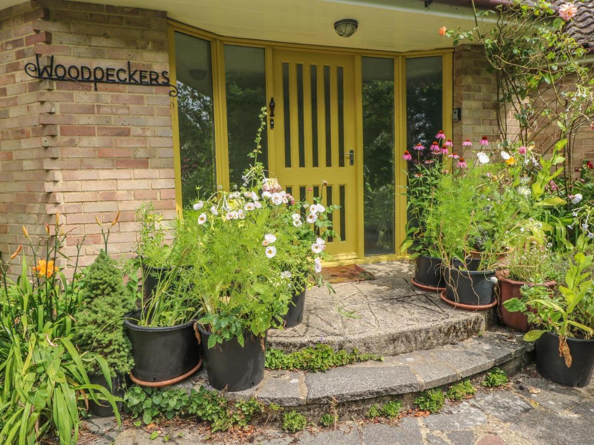 Little Yaffle Villa Dover Exterior photo